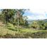  Land for sale in Guatape, Antioquia, Guatape