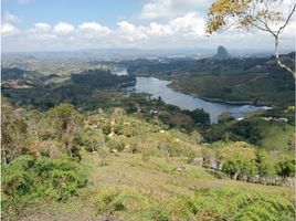  Terreno (Parcela) en venta en Guatape, Antioquia, Guatape