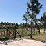 Land for sale in Exaltacion De La Cruz, Buenos Aires, Exaltacion De La Cruz