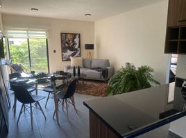 2 Schlafzimmer Appartement zu vermieten in Puerto Vallarta, Jalisco, Puerto Vallarta