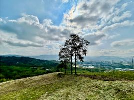  Terreno (Parcela) en venta en Santa Rosa De Cabal, Risaralda, Santa Rosa De Cabal