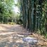  Land for sale in Ixtaczoquitlan, Veracruz, Ixtaczoquitlan