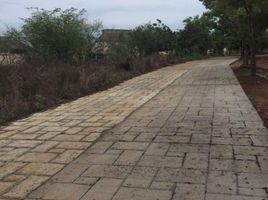  Land for sale in Oaxaca, Dist Pochutla, Oaxaca