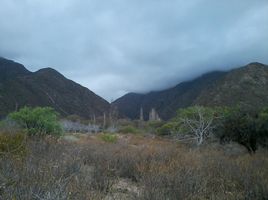  Terreno (Parcela) en venta en Arauco, La Rioja, Arauco