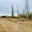  Land for sale in Confluencia, Neuquen, Confluencia