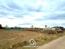  Land for sale in Confluencia, Neuquen, Confluencia