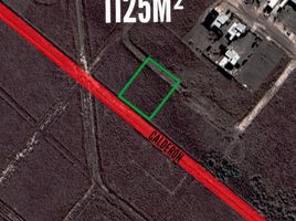  Land for sale in Patagones, Buenos Aires, Patagones