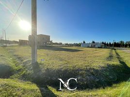  Land for sale in San Vicente, Buenos Aires, San Vicente