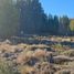  Land for sale in Bariloche Rio Negro, Bariloche