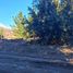  Land for sale in Bariloche Rio Negro, Bariloche