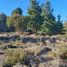  Land for sale in Bariloche Rio Negro, Bariloche