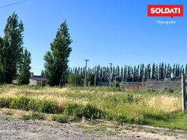  Land for sale in Neuquen, Confluencia, Neuquen