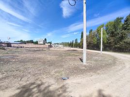  Terreno (Parcela) en venta en Confluencia, Neuquen, Confluencia