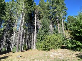  Land for sale in Rio Negro, Bariloche, Rio Negro