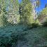  Land for sale in Rio Negro, Bariloche, Rio Negro