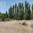  Land for sale in Neuquen, Confluencia, Neuquen