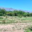  Land for sale in San Javier, Cordoba, San Javier