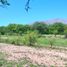  Land for sale in San Javier, Cordoba, San Javier