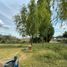  Land for sale in Confluencia, Neuquen, Confluencia