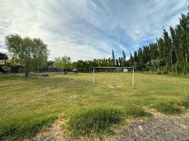  Land for sale in Confluencia, Neuquen, Confluencia