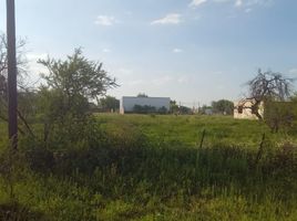  Land for sale in Colon, Entre Rios, Colon