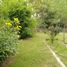 3 Bedroom House for sale in Exaltacion De La Cruz Buenos Aires, Exaltacion De La Cruz