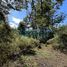  Land for sale in Neuquen, Lacar, Neuquen