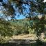  Land for sale in Neuquen, Lacar, Neuquen