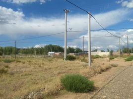  Land for sale in Confluencia, Neuquen, Confluencia