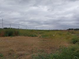  Land for sale in Confluencia, Neuquen, Confluencia