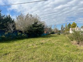  Land for sale in Santa Fe, Rosario, Santa Fe