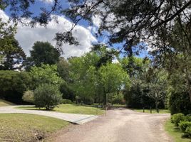  Grundstück zu verkaufen in La Plata, Buenos Aires, La Plata