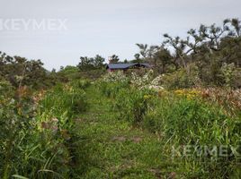  Terreno (Parcela) en venta en Tigre, Buenos Aires, Tigre