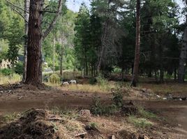  Land for sale in Chubut, Cushamen, Chubut