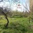  Land for sale in Escalante, Chubut, Escalante