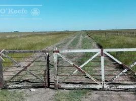  Terrain for sale in Olavarria, Buenos Aires, Olavarria