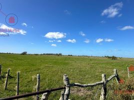  Land for sale in Concordia, Entre Rios, Concordia