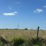  Land for sale in Concordia, Entre Rios, Concordia