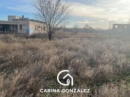  Terreno (Parcela) en venta en Confluencia, Neuquen, Confluencia