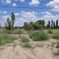  Land for sale in Neuquen, Confluencia, Neuquen