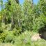  Land for sale in Rio Negro, Bariloche, Rio Negro