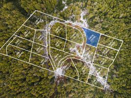  Land for sale in Neuquen, Los Lagos, Neuquen