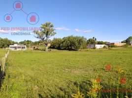  Terreno (Parcela) en venta en Concordia, Entre Rios, Concordia