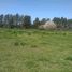  Land for sale in La Plata, Buenos Aires, La Plata