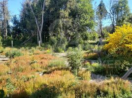  Land for sale in Neuquen, Los Lagos, Neuquen