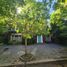 5 Bedroom House for sale in San Isidro, Buenos Aires, San Isidro
