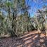  Land for sale in Quilmes, Buenos Aires, Quilmes