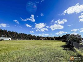  Terreno (Parcela) en venta en Brandsen, Buenos Aires, Brandsen