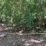  Land for sale in Campana, Buenos Aires, Campana
