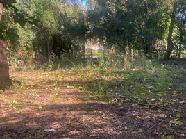  Land for sale in Campana, Buenos Aires, Campana